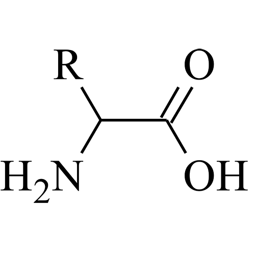 amino acid structure