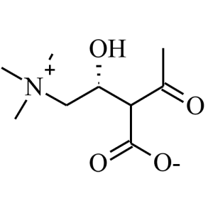 (--)-acetylcarnitin structure