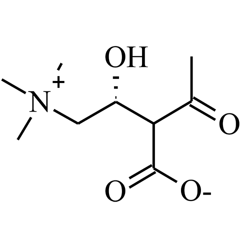 l-carnitine-3-acetyl-